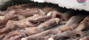 Marfrío recogerá los frutos de su diversificación el próximo año