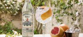 Spirit & Brands incorpora una ginebra artesana y limoncello