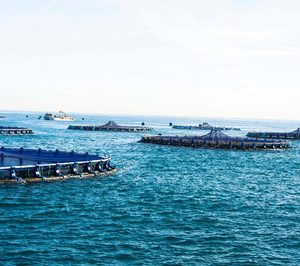 Andrómeda invertirá 20 M€ para producir un 30% más en cinco años