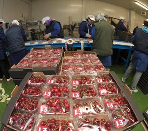 ‘Cerima Cherries’ triplicará su capacidad productiva en 2019