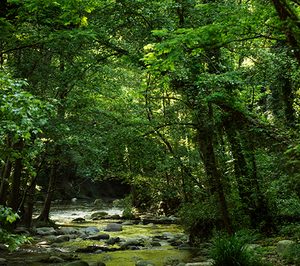Las plantas de Nestlé Waters lograrán la Alliance for Water Stewardship
