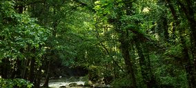 Las plantas de Nestlé Waters lograrán la Alliance for Water Stewardship