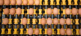 La interproveedora Huevos Guillén realiza más inversiones como líder sin jaulas