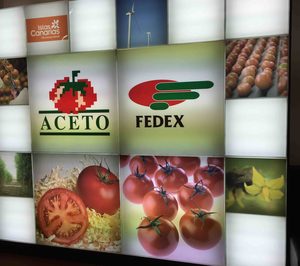 El sector hortofrutícola canario se queja de las dificultades de la última campaña