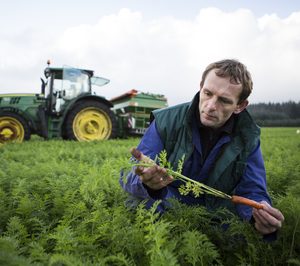 La sostenibilidad ayuda a crecer y a ahorrar a Unilever