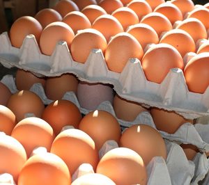 Mercadona abre su lineal a un nuevo proveedor de huevos