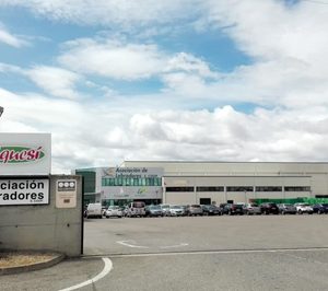 Vegetales Línea Verde ampliará sus instalaciones