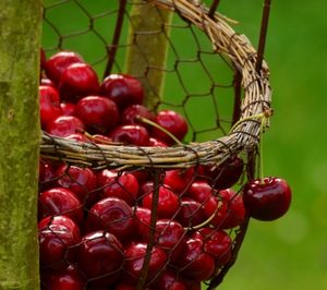 Coop. del Campo de Navaconcejo invierte en sus instalaciones