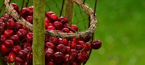 Coop. del Campo de Navaconcejo invierte en sus instalaciones