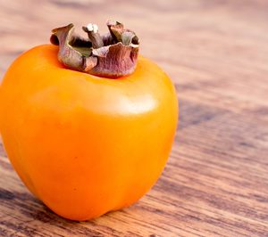 Coagri desarrolla inversiones en sus naves