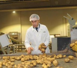 Patatas Meléndez iniciará la venta de boniato en 2019