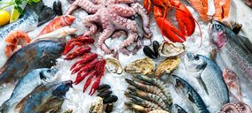 El sector de pescado congelado pierde dos nuevos operadores