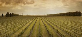 Castell del Remei apuesta por el enoturismo con 1M de inversión