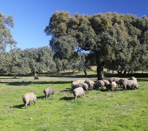 La interproveedora Incarlopsa compra la planta de Jamones Jabugo