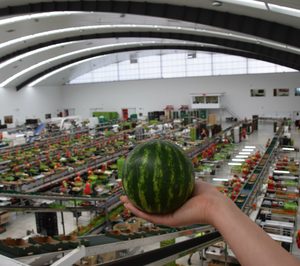 Biosabor cierra un lustro de crecimiento a doble dígito