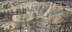 Eurofred compensará sus emisiones de CO2 con repoblaciones forestales