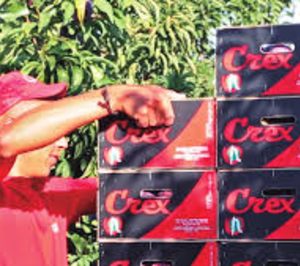 Naturcrex cierra su planta y presenta preconcurso de acreedores