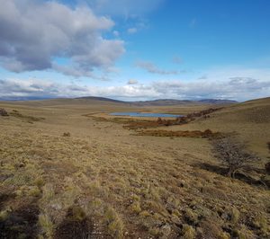 Familia Torres compra una finca en Chile para luchar contra el cambio climático