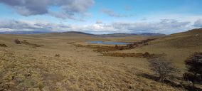 Familia Torres compra una finca en Chile para luchar contra el cambio climático