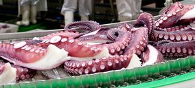 Discefa pulveriza previsiones y marca su estrategia e inversiones en pulpo