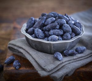 Soloberry ya puede comercializar las inéditas bayas ‘Haskap’