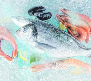 Pescado y marisco congelado: la burbuja llega a los mares