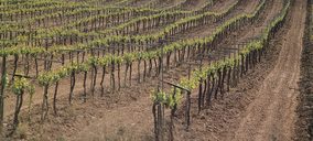 Valencia y Extremadura se quedan fuera del Consejo Regulador de la DO Cava