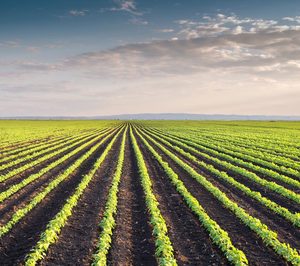 Basf se queda con la división de semillas de Bayer