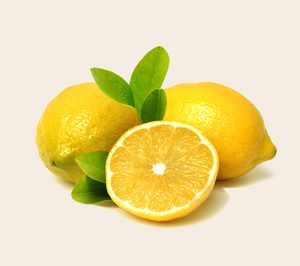 El grupo Citri&Co incorpora al especialista en limón Perales y Ferrer