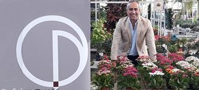 La nueva Dei Homes proyecta desarrollar 1.000 viviendas de lujo en Málaga