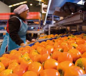 Exquisite Fruits ultima su gama de fruta ecológica