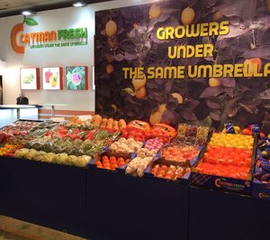 Catman Fresh prevé su recuperación