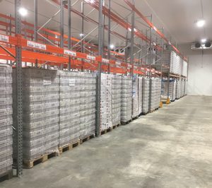 El sector frigorífico rozó la ocupación total en el segundo trimestre del año