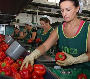 Unica Group prevé un aumento del 25% debido a las nuevas incorporaciones