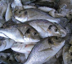 La acuicultura concentra casi el 50% de los productos pesqueros mundiales