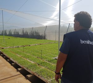 Benihort afronta la temporada con mayor actividad para su semillero