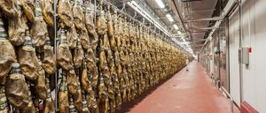 Informe 2018 del sector de cerdo ibérico en España