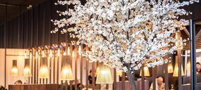 Udon desembarca en Sevilla y suma así su tercer local en Andalucía