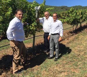 Grupo Terras Gauda prevé rozar los 14 M€ en 2018