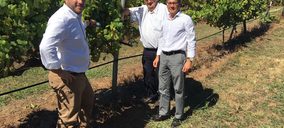 Grupo Terras Gauda prevé rozar los 14 M€ en 2018