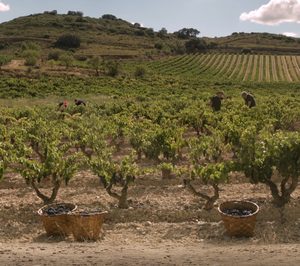 La viticultura de precisión llega a Bodegas Riojanas