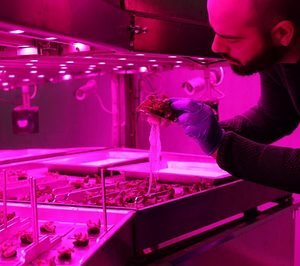 GAC crea EcoCrop para producir y comercializar productos ecológicos