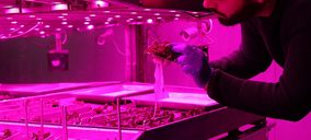 GAC crea EcoCrop para producir y comercializar productos ecológicos