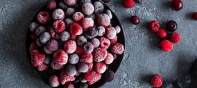 Virtoadquiere la holandesa Oerlemans Foods Group