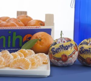 Benihort inicia su campaña de cítricos con buenas expectativas