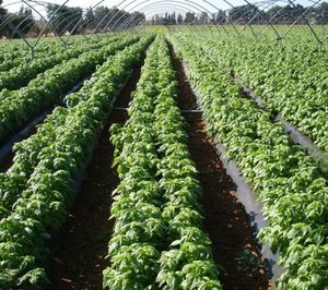 Nazca Capital compra una participación mayoritaria en Herbex