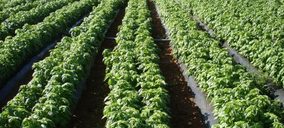 Nazca Capital compra una participación mayoritaria en Herbex