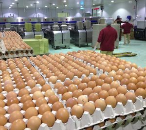 Avícola Velasco anuncia inversiones para el bienio 2019-2020