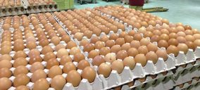 Avícola Velasco anuncia inversiones para el bienio 2019-2020
