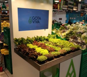 Auchan cultiva lechugas hidropónicas en un hipermercado Alcampo